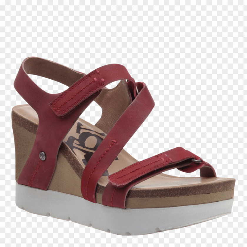 Sandal Wedge Shoe Slide Toe PNG