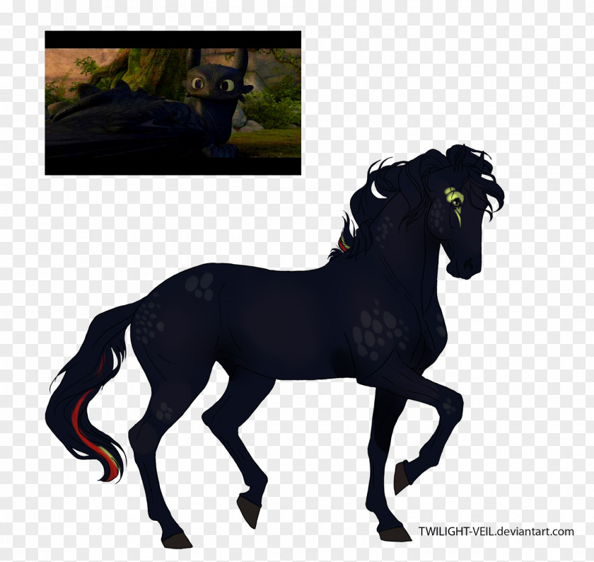 Toothless Mustang Pony Stallion Foal Colt PNG