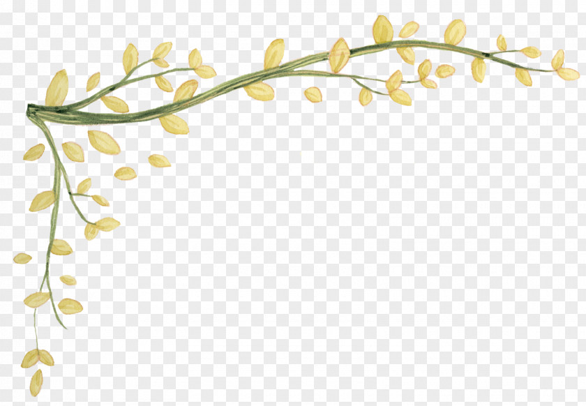 Leaves Border Knitting Drawing Pattern PNG