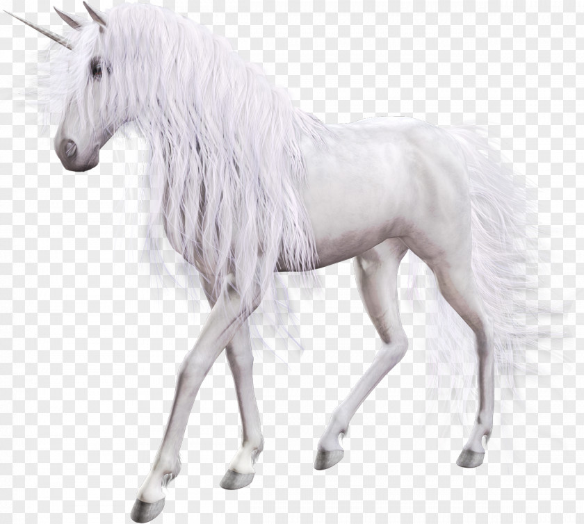 Unicorn The Black Horse Pegasus Clip Art PNG