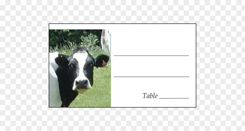 A2 Cow Dairy Cattle Calf Dog PNG