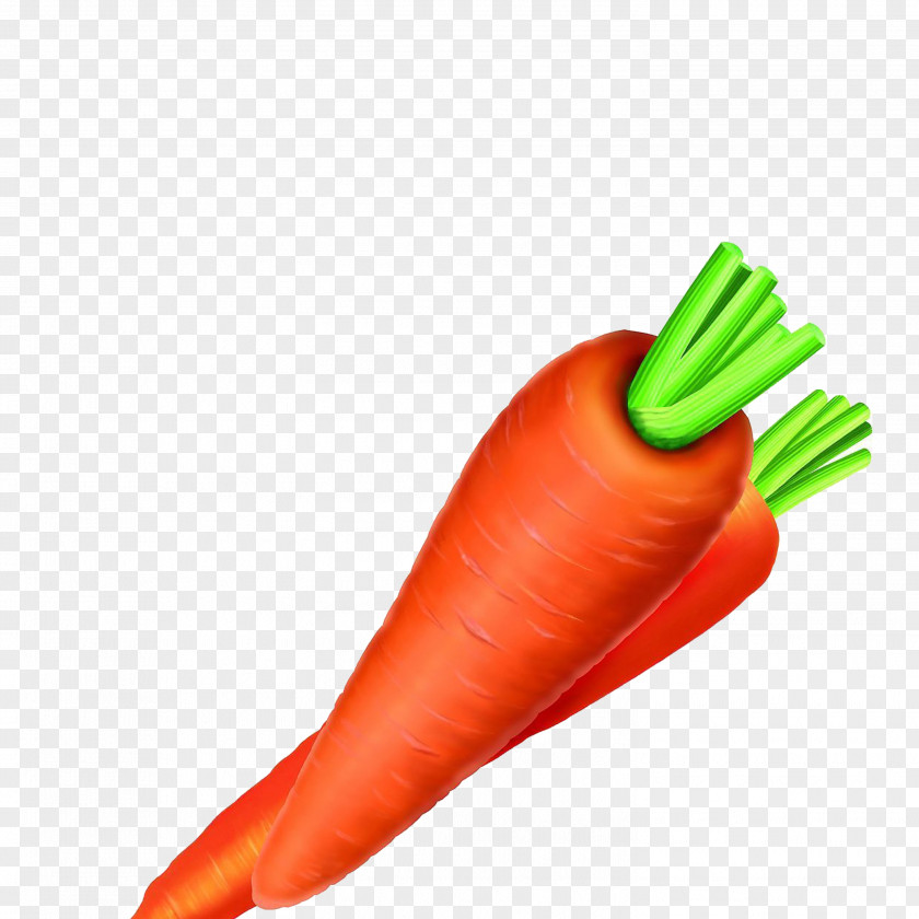 Carrot Vegetable Carotene Food Radish PNG