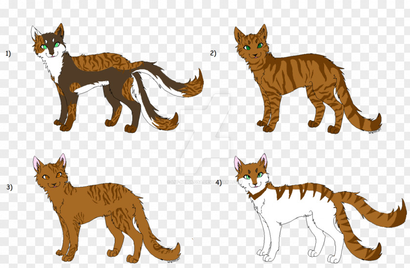 Cat Wildcat Lion Terrestrial Animal Big PNG