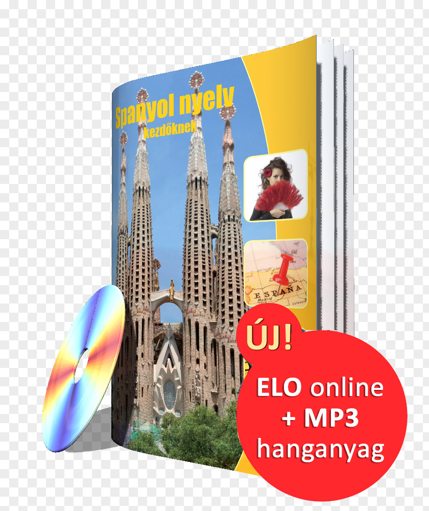 Elo English Pretty Girls Language German Learning PNG