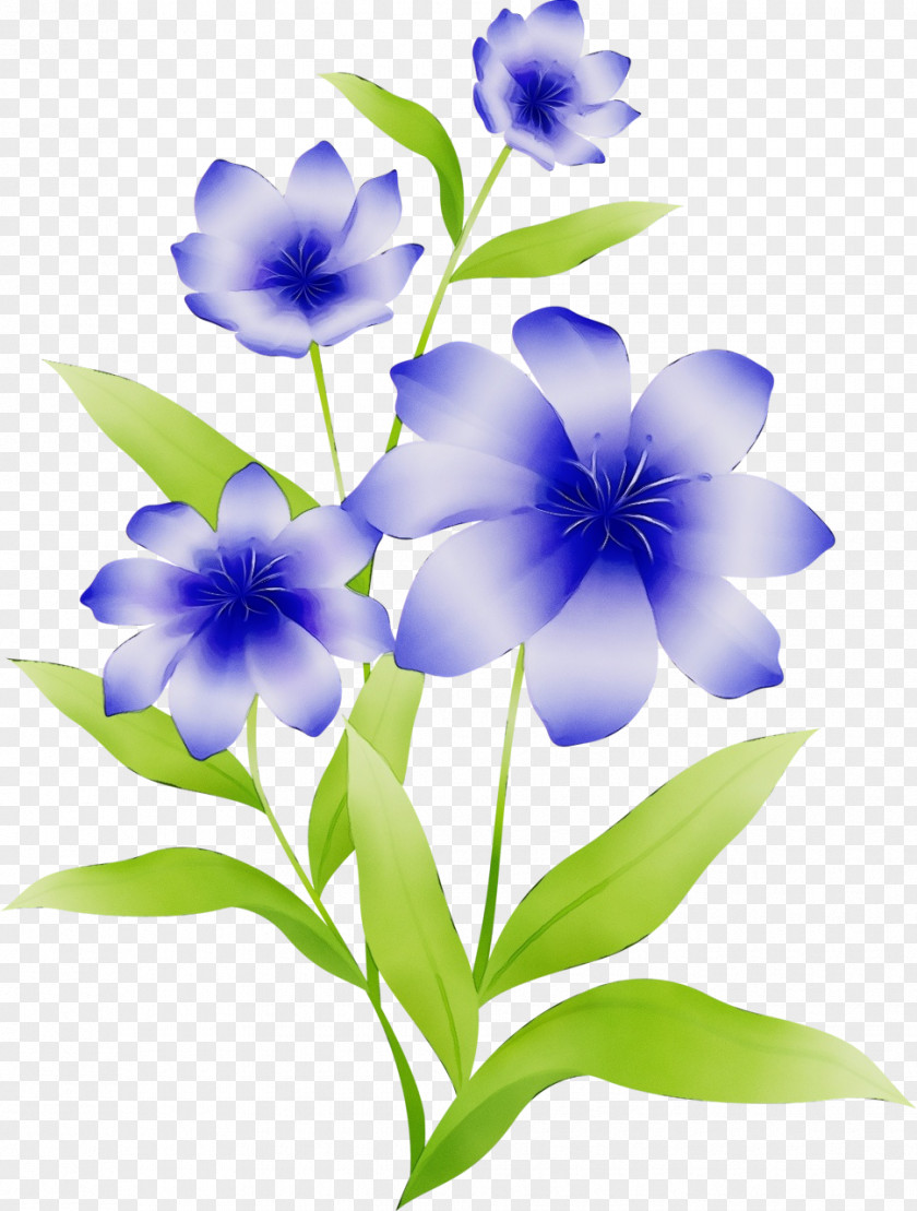 Flower Blue Plant Petal Violet PNG