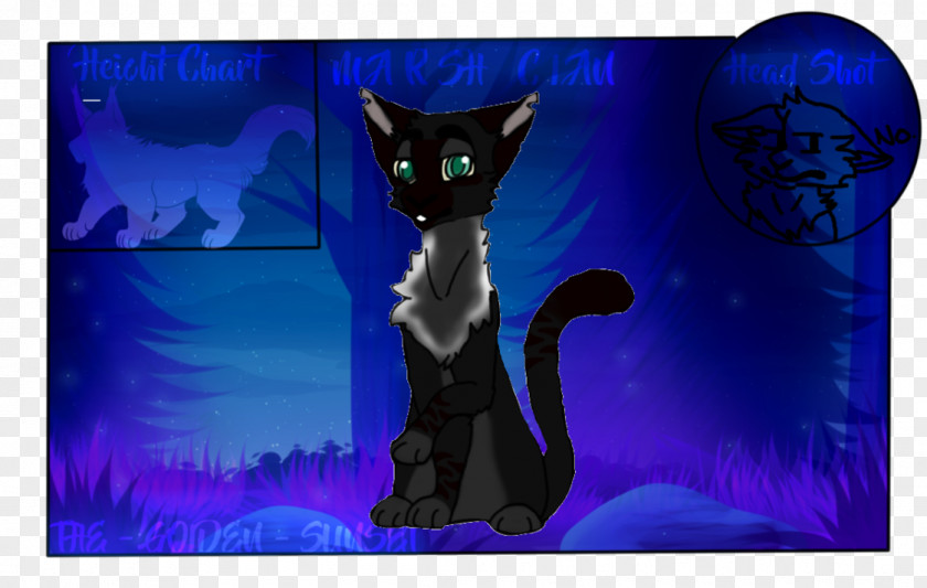 Kitten Black Cat Whiskers Desktop Wallpaper PNG