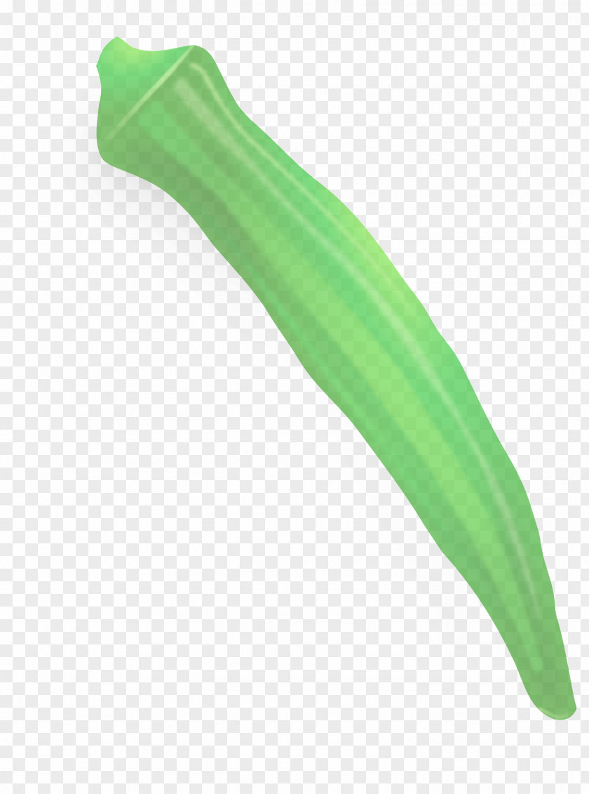 Okra Plant Green Vegetable PNG