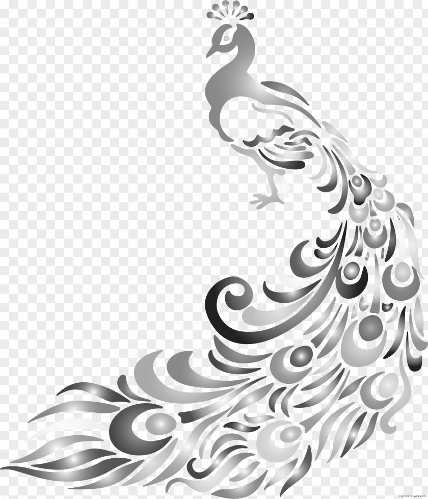 Bird Clip Art Peafowl Free Content Illustration Vector Graphics PNG