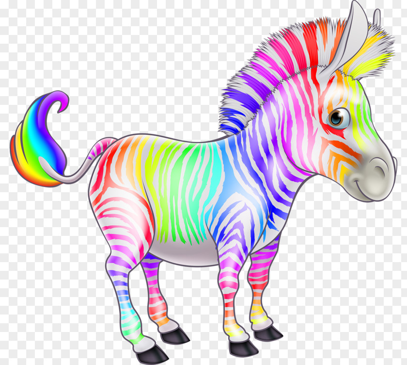 Color Zebra Cartoon Clip Art PNG