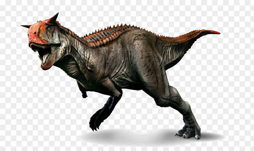 Dinosaur Carnotaurus Primal Carnage: Extinction Velociraptor Tyrannosaurus PNG