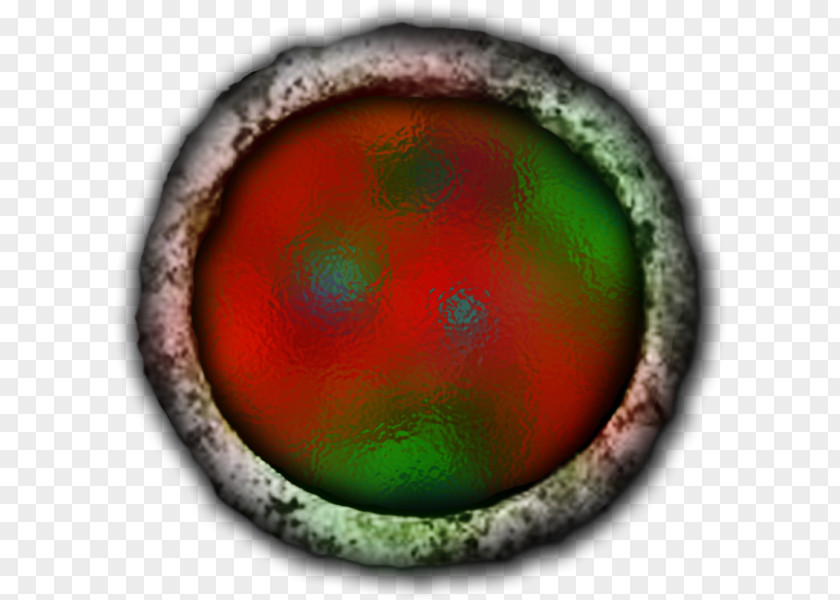 Eye Thrombocytopenia Platelet Child Organism PNG