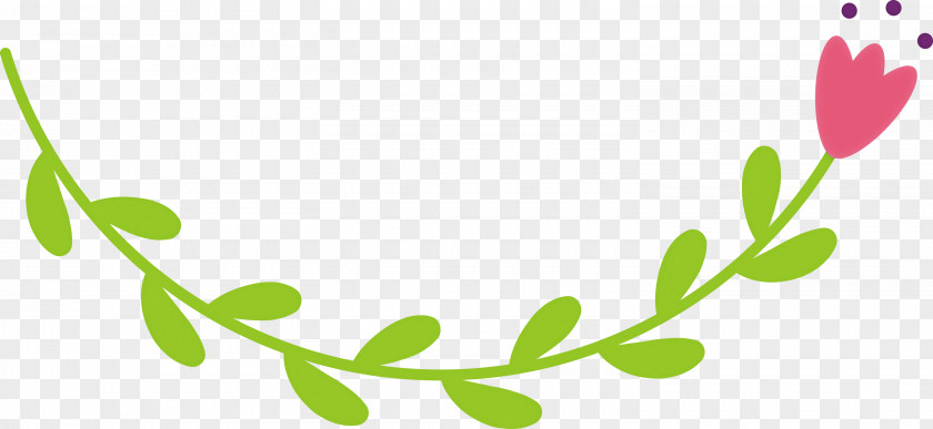 Floral Design PNG