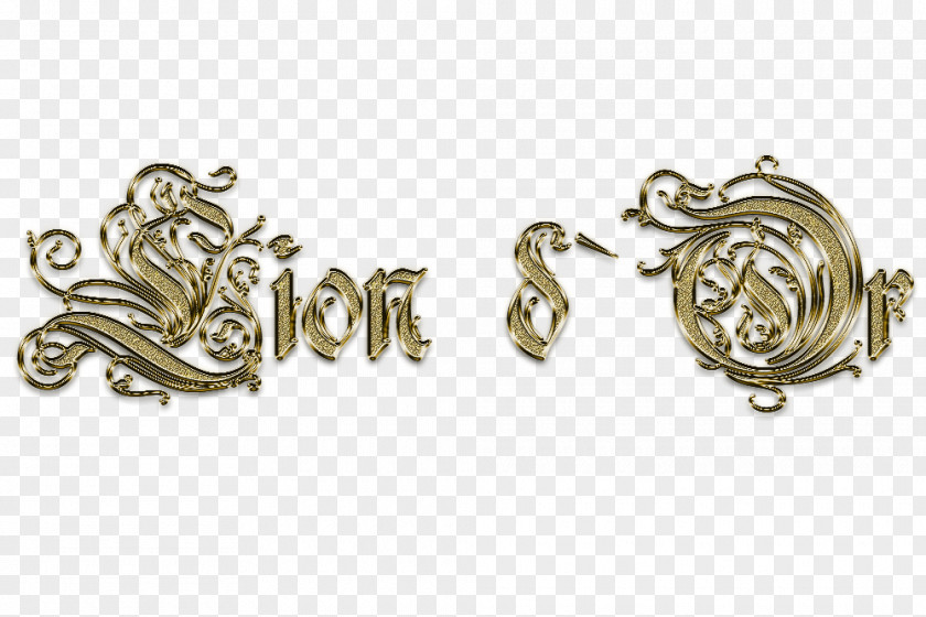 Lion Dance Earring Jewellery Metal Silver PNG