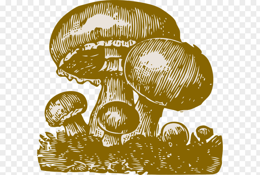 Mushrooms Fungus Mushroom Clip Art PNG