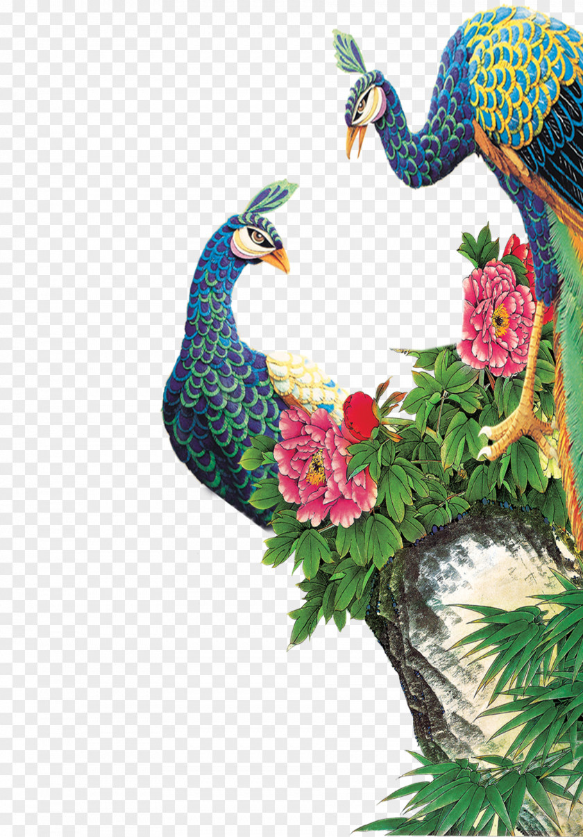 Peacock Download Computer File PNG