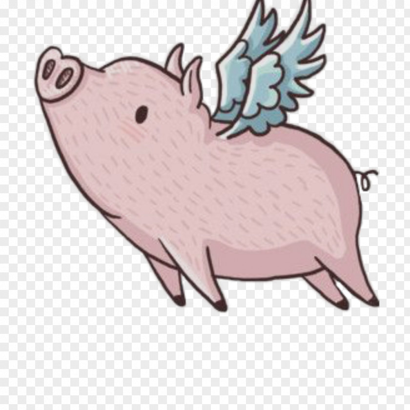 Pig Wing Image Miniature When Pigs Fly PNG