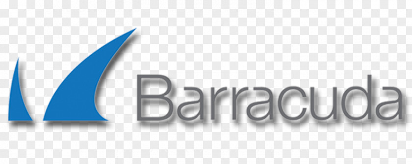 Snowflakes Falling Barracuda Networks LA IT Consultants Backup Computer Security Information Technology PNG