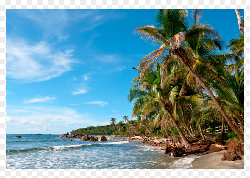 Travellers' Wildlife Guides Costa Rica Gatun Lake Panama City Meteorology Caribbean Beach PNG