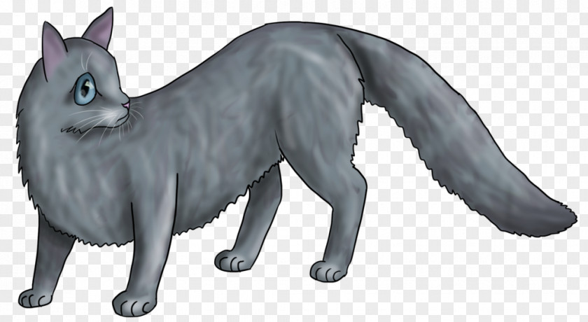 Cat Whiskers Red Fox Gray Wolf Fur PNG