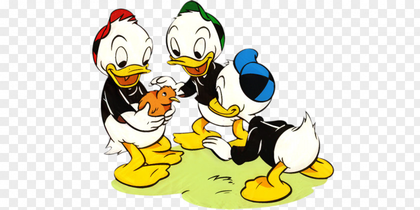 Donald Duck Scrooge McDuck Image PNG