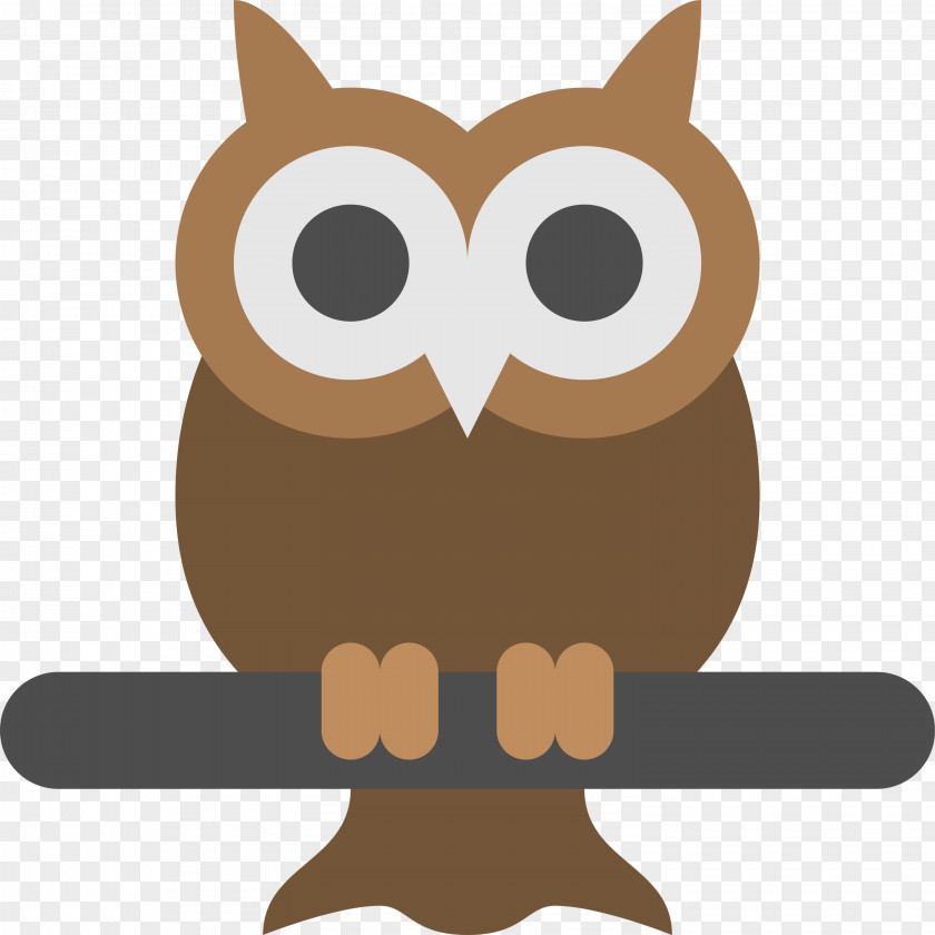Owl Cute Carton PNG