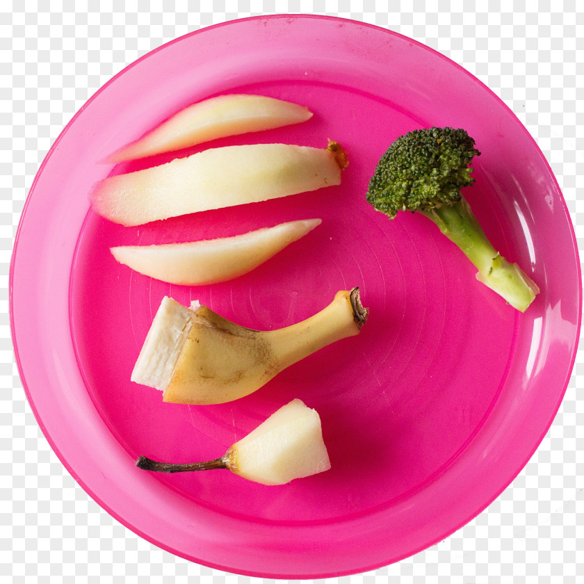 Pink Broccoli On A Plate Baby Food Baby-Led Weaning (Library Edition): The Essential Guide To Introducing Solid Foods-And Helping Your Grow Up Happy And Confident Eater Milk Infant PNG
