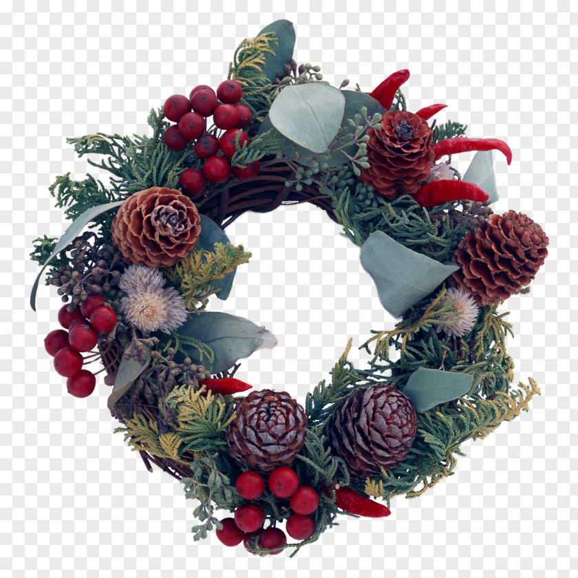 情人节玫瑰 Advent Wreath Christmas Desktop Wallpaper Holiday PNG
