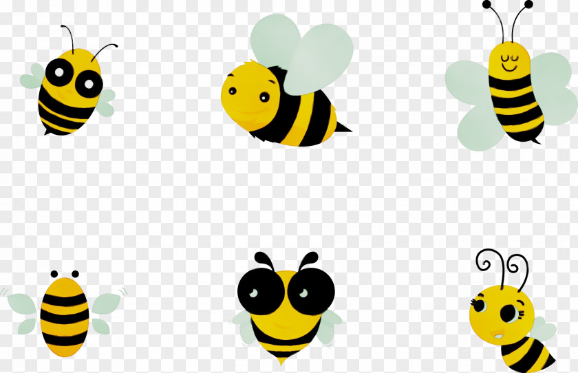 Beehive Bumblebee Bee Background PNG