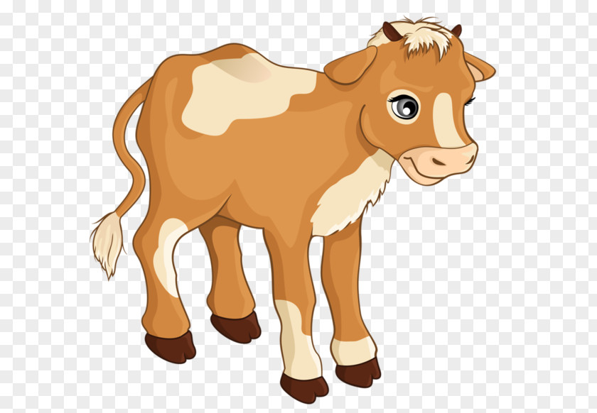 Cow-calf Operation White Park Cattle Beef Clip Art PNG