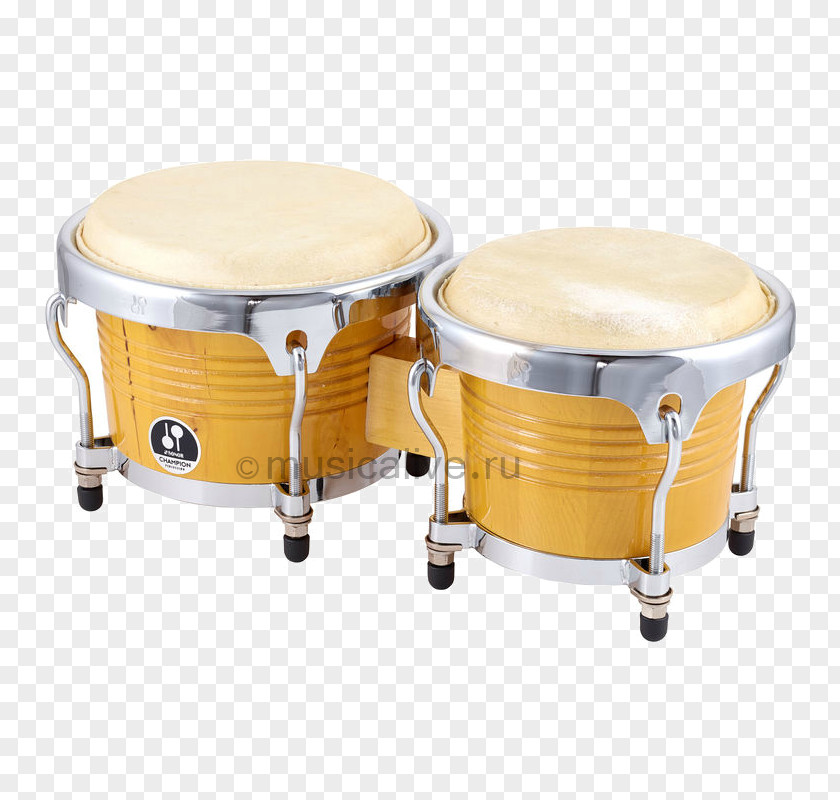 Drum Bongo Percussion Kits Conga PNG
