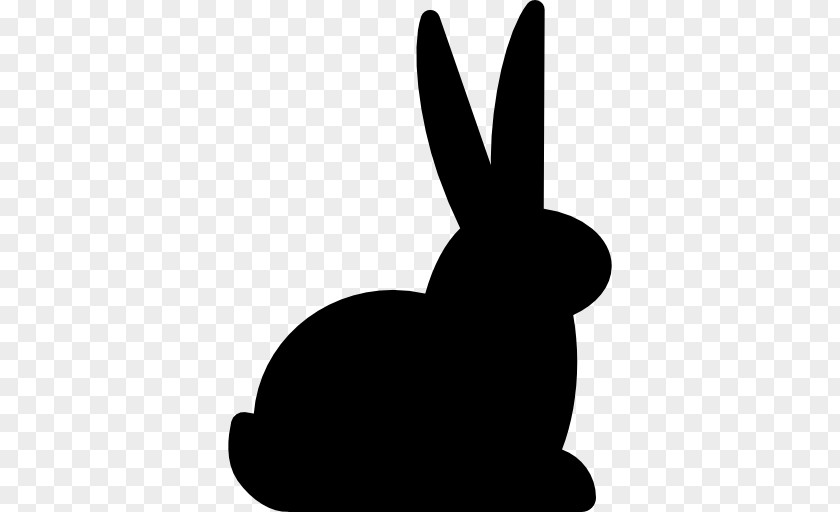 Rabbit PNG