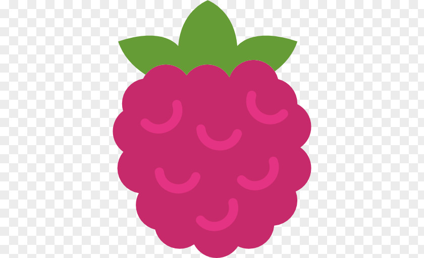 Raspberry Pi Food PNG