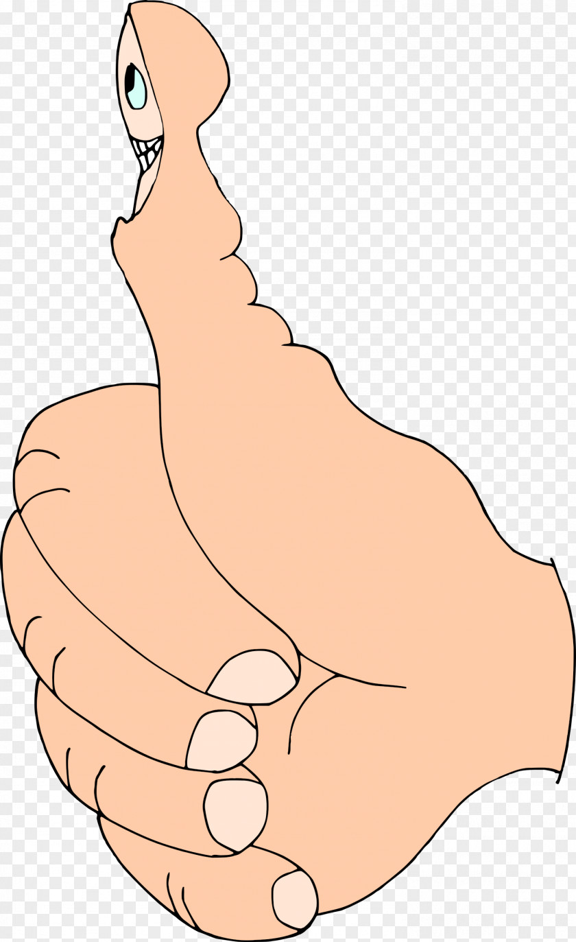 Thumbs Up Hand Thumb Signal Clip Art PNG