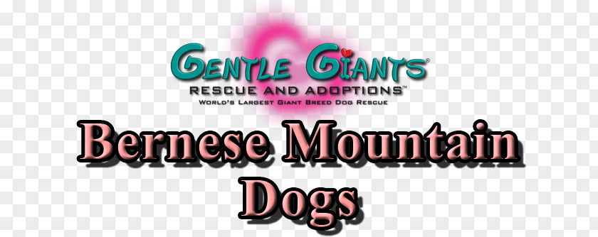 Bernese Mountain Dog English Mastiff Great Pyrenees Neapolitan Bandog PNG