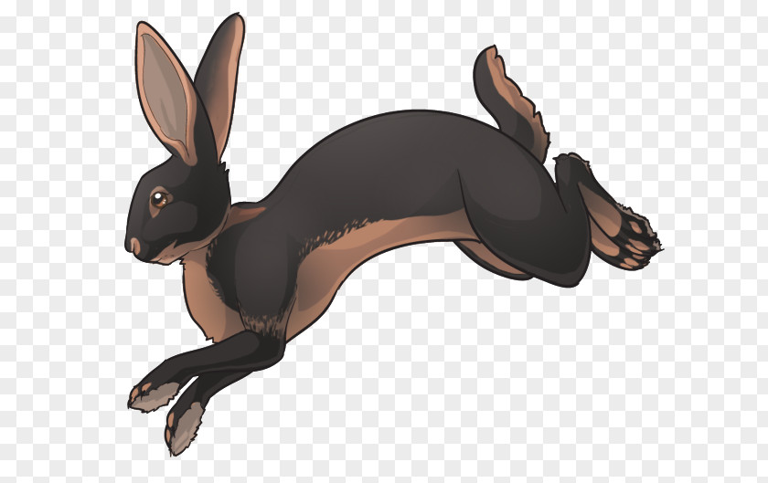 Dog Domestic Rabbit Hare Canidae PNG