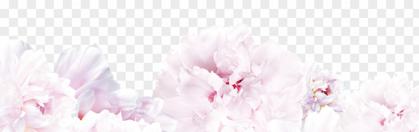 Flowers Floral Design Spring Cherry Blossom Cut PNG