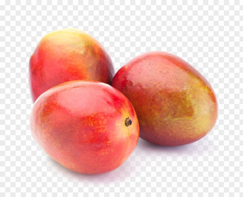 Mango Organic Food Fruit PNG