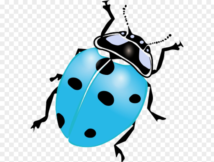 Marinette Ladybug Clip Art Vector Graphics Ladybird Beetle Illustration Drawing PNG