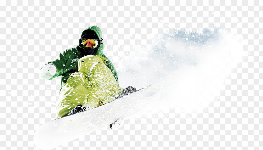 Summer Discounts Gafas De Esquí Snow Goggles Anti-fog Skiing PNG