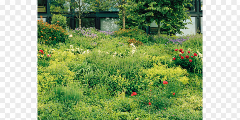 Tate Modern London Lars Müller Publishers Landscape Architect Vegetation Shrubland PNG