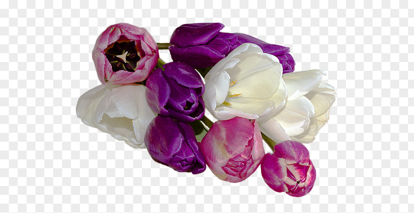 Tulip Material Cut Flowers Flower Bouquet Artificial Petal PNG