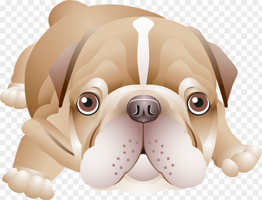 Vector Pug East Siberian Laika Standard Schnauzer Husky Cat Puppy PNG