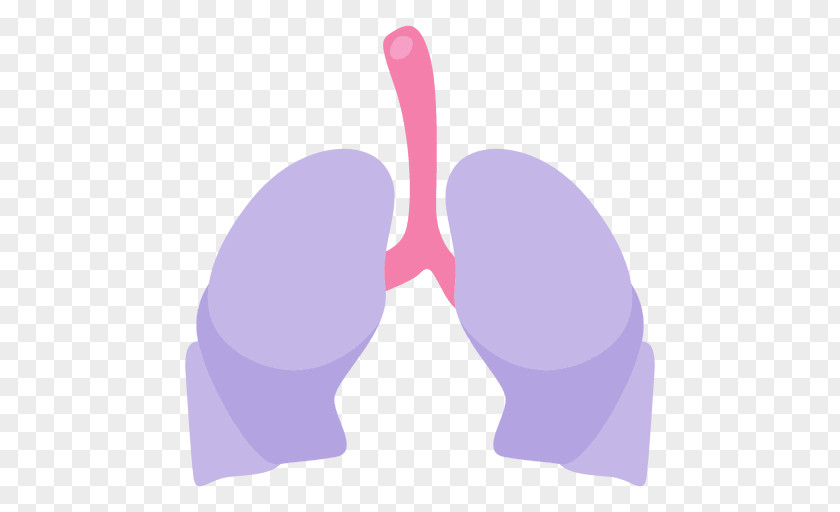 Lung Organ Human Body PNG body , lung clipart PNG