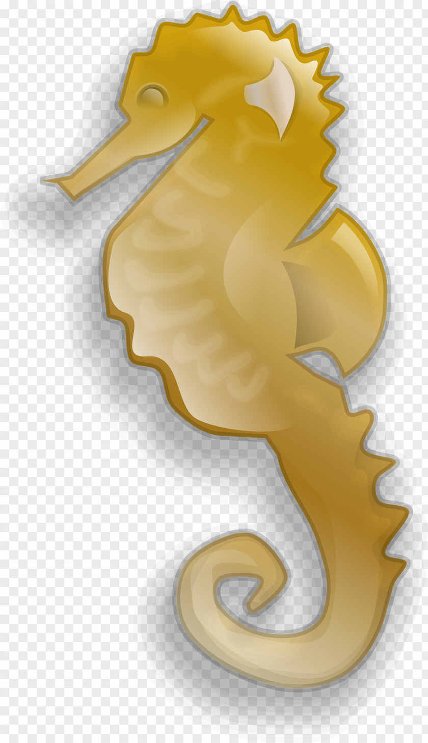 Seahorse Sheldon Fish Clip Art PNG