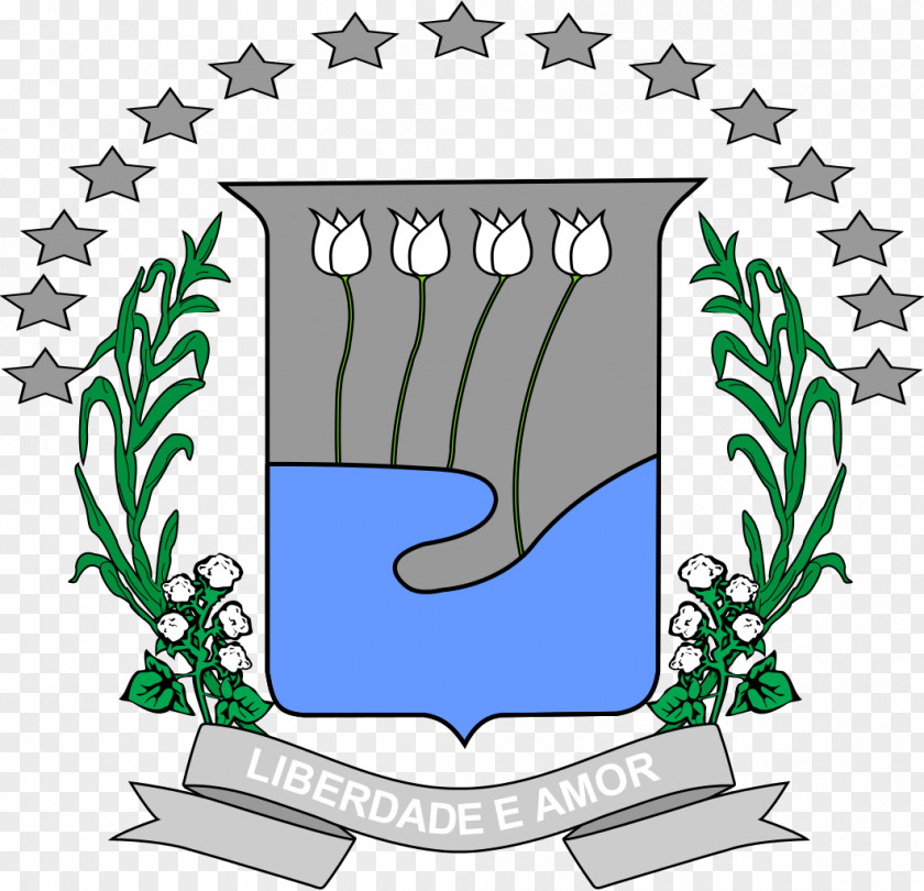 Brasao Amparo, São Paulo Municipality Prefeitura Municipal De Nossa Senhora Lourdes Statute PNG