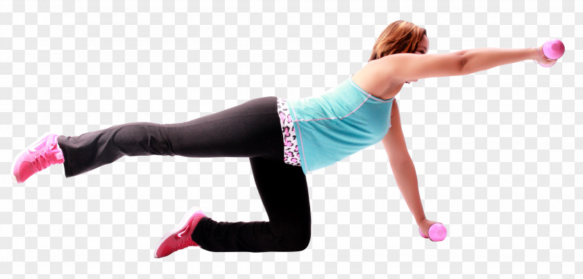Exercise Physical Fitness Abdominal PNG