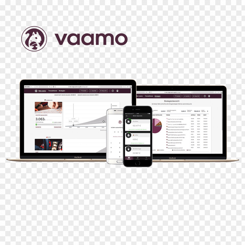 The Team Vaamo Capital Market Security Asset Management Product PNG