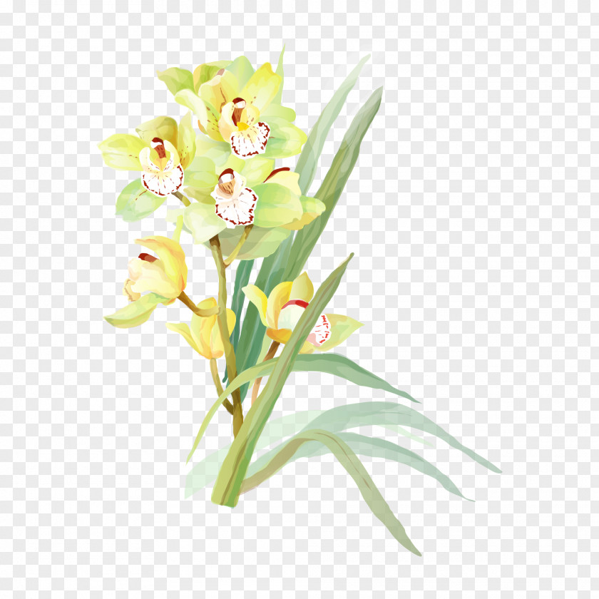 Watercolor Flowers Flower Painting Drawing PNG