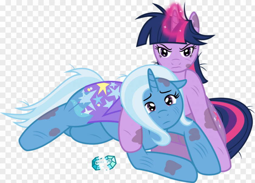 Tzu Pony Rainbow Dash Rarity Twilight Sparkle Pinkie Pie PNG