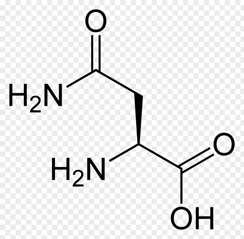 Asparagine Acetic Acid Amino Chemical Formula Substance PNG